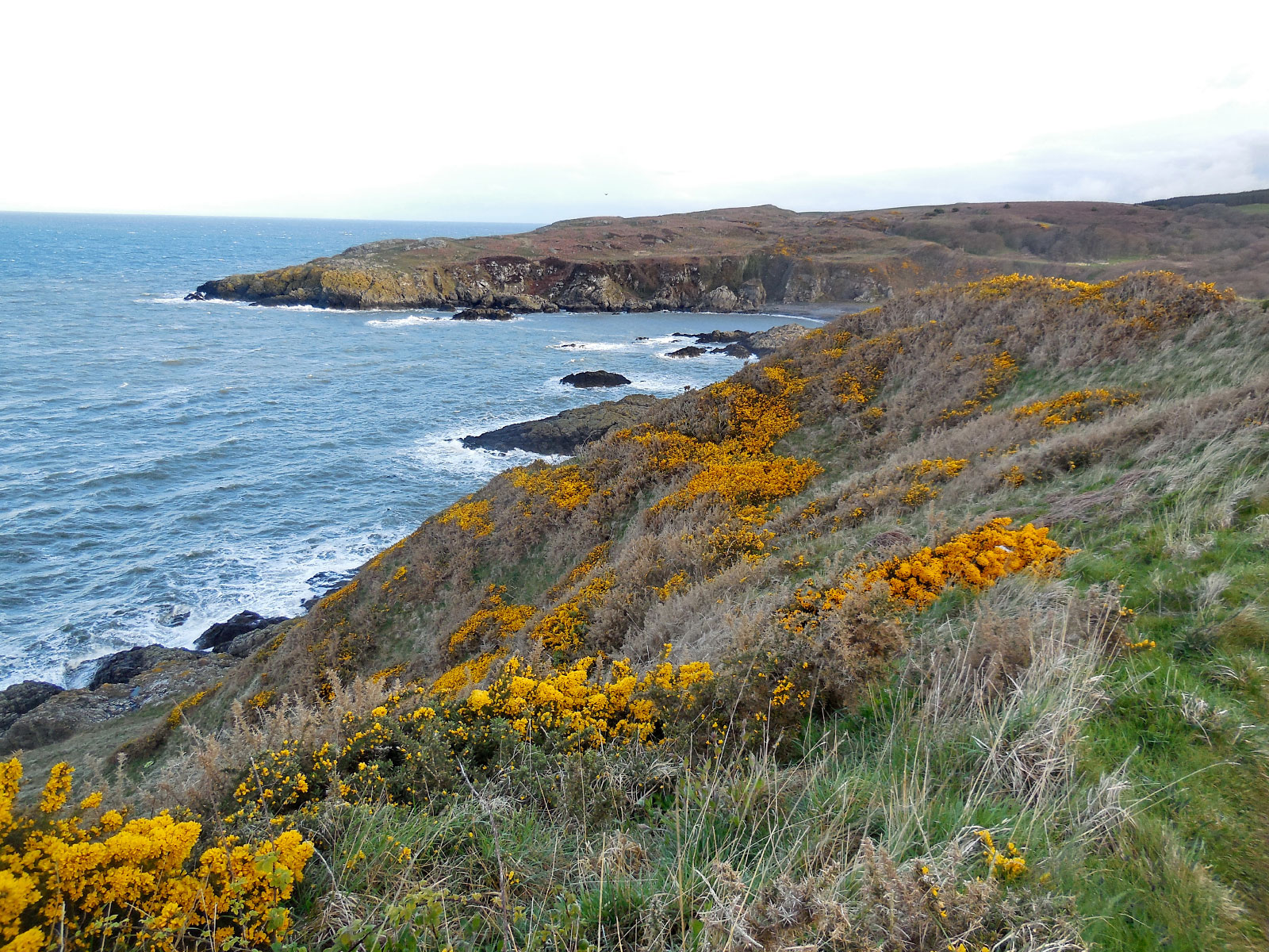 MaidenhedBay, Stranraer